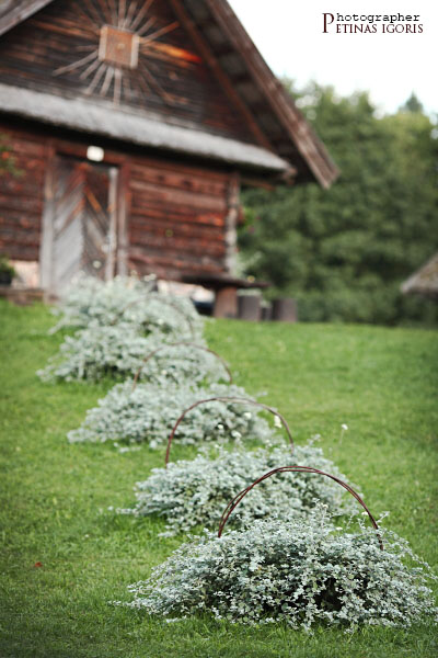 Bitininkystės muziejus