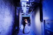 Ryan Brenizer fotografas vestuvėms Niujorkas
